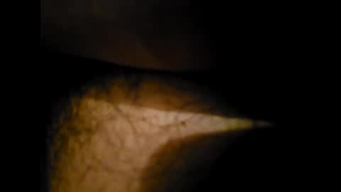 Alex online show from 01-24-25, 12:31