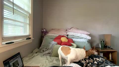 Snapshot of pegggggysue69 chatting on 03-20-26, 07:30 pegggggysue69 online show from 03-20-26, 07:30