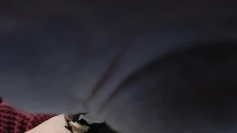 PeggySoft online show from 10-13-25, 04:45