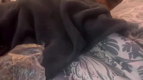 penutbutter691 online show from 02-23-26, 11:29