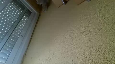 Snapshot of perales_12345 chatting on 04-19-26, 10:25 perales_12345 online show from 04-19-26, 10:25
