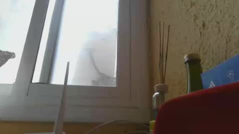 Snapshot of perales_12345 chatting on 06-14-26, 03:25 perales_12345 online show from 06-14-26, 03:25