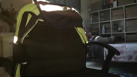 peregrintpelfox online show from 12-16-25, 10:20