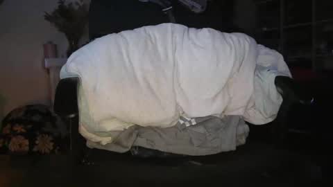 peregrintpelfox online show from 01-06-26, 07:01