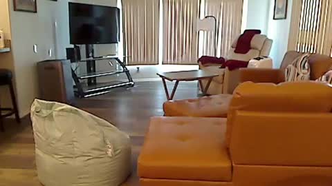 perfecto1957 online show from 12-03-24, 07:55