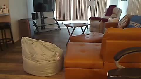 perfecto1957 online show from 02-13-25, 04:39