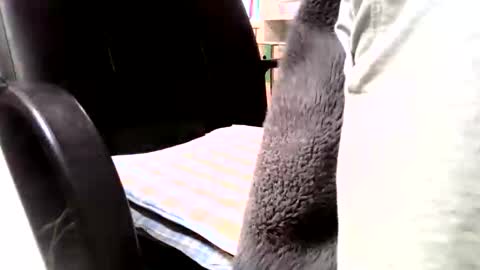 Peter online show from 05-16-26, 06:54