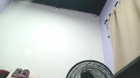 Snapshot of petiteivoryqueen chatting on 01-13-25, 04:28 danna online show from 01-13-25, 04:28