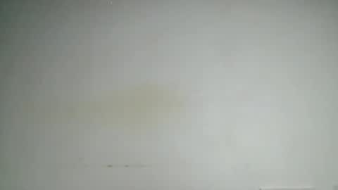 petitgirl88 online show from 06-24-26, 05:39