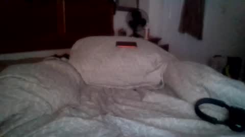 Snapshot of petrparkr2888 chatting on 07-03-26, 05:25 petrparkr2888 online show from 07-03-26, 05:25