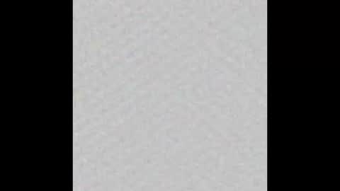 Snapshot of peytonn_monroe chatting on 10-31-25, 12:06 peytonn_monroe online show from 10-31-25, 12:06