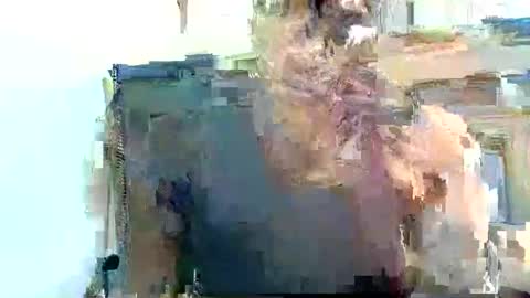 Pfani online show from 04-19-26, 12:15