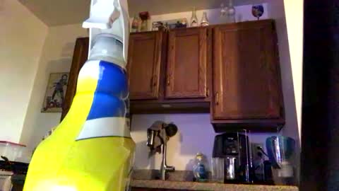 Snapshot of phildoesart chatting on 01-20-25, 10:59 Phil online show from 01-20-25, 10:59