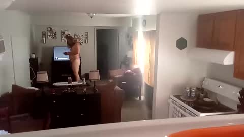 Phinfan online show from 02-23-25, 08:44