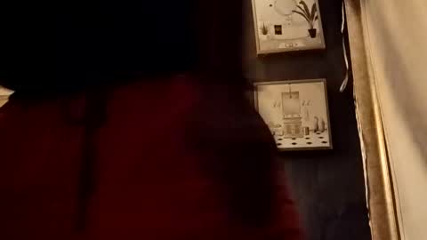 Snapshot of phxdivorcedad chatting on 09-15-25, 05:18 phxdivorcedad online show from 09-15-25, 05:18