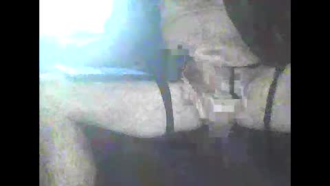 Snapshot of pigbear4trans chatting on 01-03-25, 04:48 pigbear4trans online show from 01-03-25, 04:48