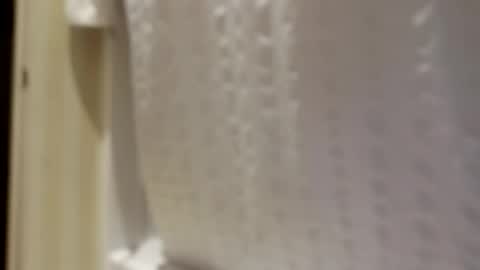 Snapshot of pigbear4trans chatting on 09-30-25, 06:51 pigbear4trans online show from 09-30-25, 06:51