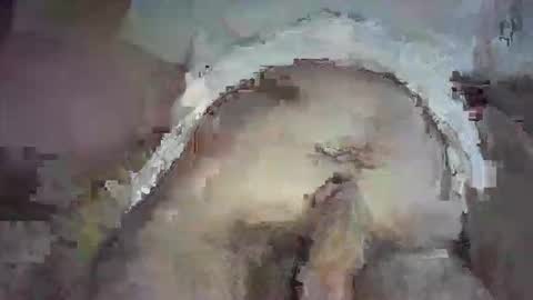 piggyplaypen online show from 06-03-26, 08:36