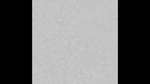 pimmel10 online show from 11-29-25, 04:43