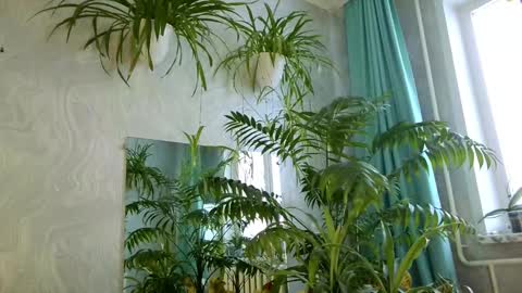 Tatyana online show from 02-11-26, 05:34