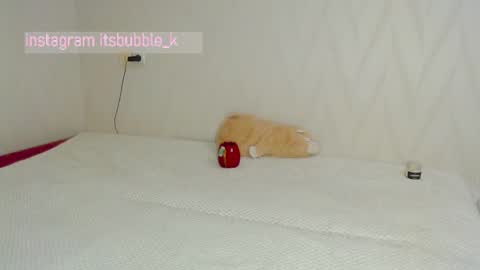 Snapshot of pink_pikachu_ chatting on 03-04-25, 11:00 Pikachu pika online show from 03-04-25, 11:00