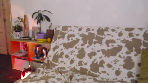 Sony online show from 11-01-25, 05:04