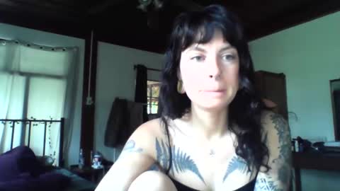 pixiecatfairy online show from 11-19-25, 03:17