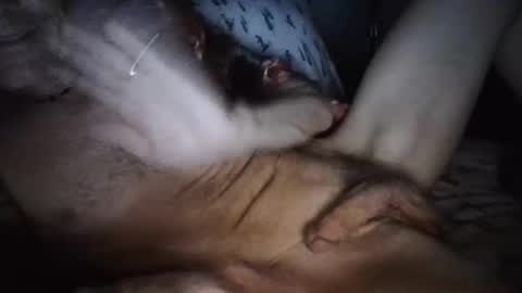 playdaddy756210 online show from 03-12-26, 02:50