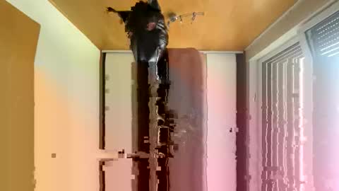 Snapshot of playdog123 chatting on 10-12-25, 01:21 playdog123 online show from 10-12-25, 01:21