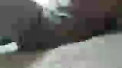 Snapshot of plug768785628 chatting on 07-22-26, 09:34 plug768785628 online show from 07-22-26, 09:34
