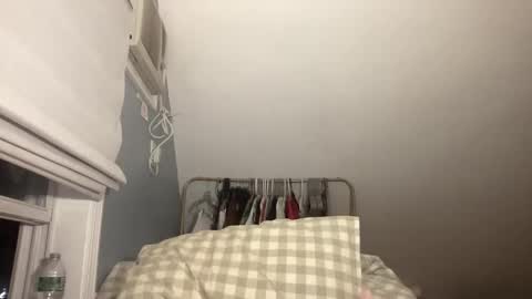 stariette online show from 02-15-26, 02:08