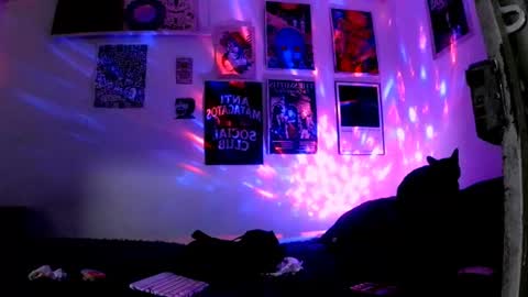    online show from 06-30-26, 11:50