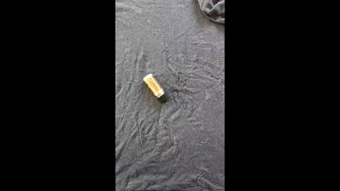 pocoloco0001 online show from 04-15-26, 05:58