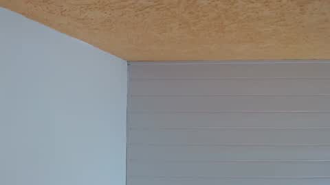 podolatra3 online show from 02-19-26, 01:34