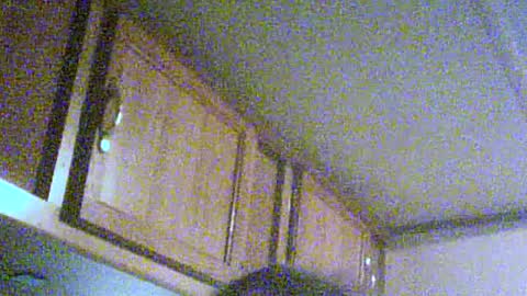 Snapshot of podzimek chatting on 06-21-26, 04:04 podzimek online show from 06-21-26, 04:04