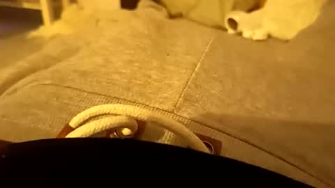 Snapshot of pollontf chatting on 03-02-26, 01:41 pollontf online show from 03-02-26, 01:41