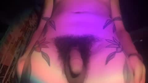 xTemptubusX online show from 07-30-26, 11:37