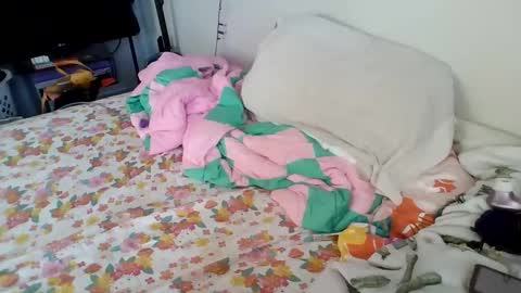 Snapshot of pppawg chatting on 01-20-25, 04:34 PAWG Pale Princess online show from 01-20-25, 04:34