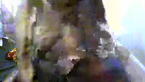 pretty_barbz online show from 03-08-25, 03:06