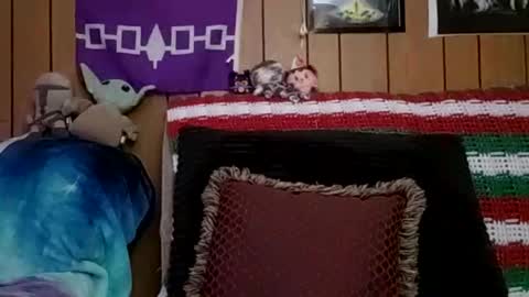 prettysolidd7 online show from 01-04-25, 06:09