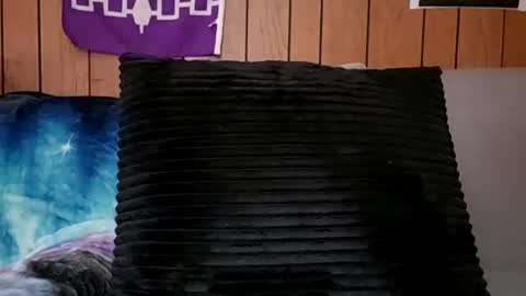 prettysolidd7 online show from 02-24-25, 11:21