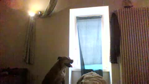 BBW facial slave online show from 01-08-26, 12:40