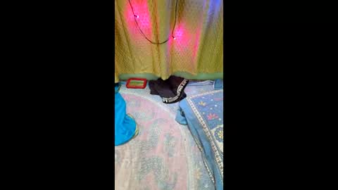 priyachocolaty online show from 02-09-26, 08:35