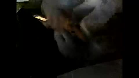 Clothingoptional online show from 12-02-25, 06:03