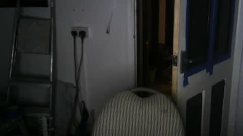 projectorepson online show from 01-19-25, 06:32