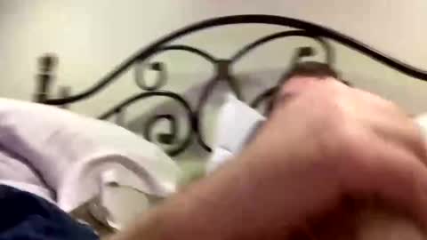 protostarr online show from 01-30-25, 01:33