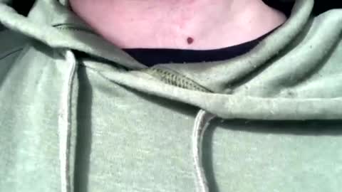 protostarr online show from 02-07-25, 04:46