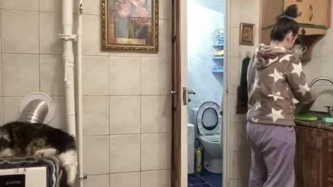 proud sweet 21 online show from 02-01-26, 11:47