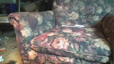 pspee313 online show from 06-21-26, 12:30