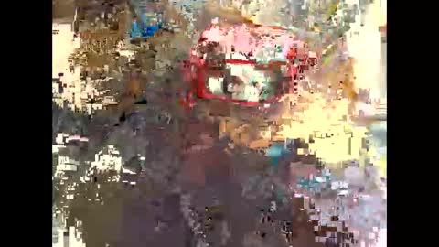 publicexhibto online show from 11-20-25, 03:23